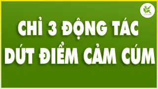 Từ Khi Áp Dụng Cách Này BỆNH CẢM CÚM Không Còn Ghé Thăm Sức Khoẻ Cải Thiện Đáng Kể | TCL