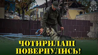 Харківські волонтери допомагають врятованим собакам гвардійців швидше відновити свої навички!