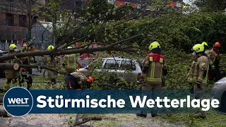 ORKANBÖEN: Erster Herbststurm des Jahres sorgt für Überschwemmungen und umgestürzte Bäume