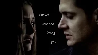 Dean and Elena ll I Never Stopped Loving You