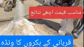 How to make Bakra Fattening feed  || Detailed information قربانی کے بکروں کے لیے اسپیشل ونڈہ