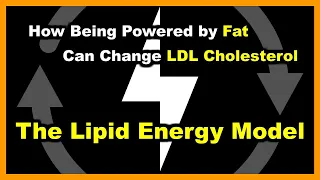 High LDL Cholesterol Increases on a Low Carb Diet - The Lipid Energy Model