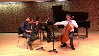 Brahms Piano Trio No. 3 in C Minor, Op. 101, first mvmt.