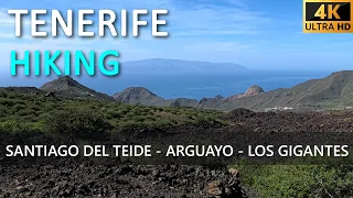 Hiking Tenerife from Santiago Del Teide via Arguayo to Los Gigantes.