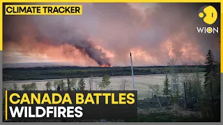 Canada battles first major wildfire of 2024 | World News | WION Climate Tracker