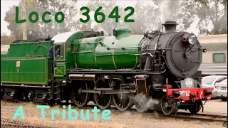 Australian Steam Trains - A Tribute to NSW Locomotive #3642