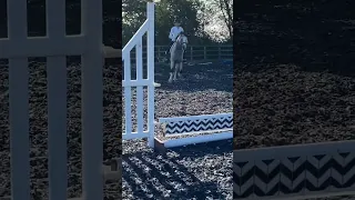 I nearly fell off 🤣 #horse #equestrian #horses #horselover #equine #showjumping #horseriding