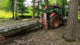 Logging and felling of trees in new growth, Stihl ms 462, Zetor Proxima, Amles, Work in the forest