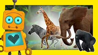 ZOO videos for kids San Diego ZOO Animals 🙉