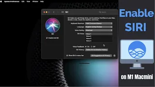 Enable “Hey Siri” on M1 Mac Mini (Easy Step by Step)