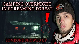 MY SCARIEST CAMPING TRIP IN SCREAMING FOREST - SOMEONE WAS HERE | CABIN IN THE WOODS