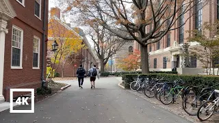 4K | Walking Harvard Yard and Harvard Law School | ASMR City Sounds Relaxing
