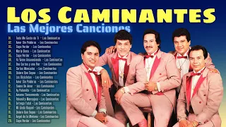 LOS CAMINANTES 2024 22 GRANDES ÉXITOS ROMÁNTICOS   LOS CAMINANTES SUS MEJORES CANCIONES