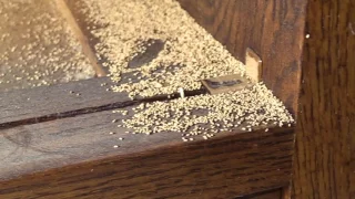 Nightstand infested with termites.