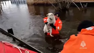 Inondations: L'état d'urgence est déclaré en Yakoutie | euronews 🇫🇷