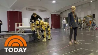 Go behind the scenes of the puppetry of Broadway's ‘Life of Pi’