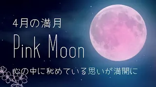 あなたの願いが愛で叶う満月【やさしい周波音と水音が奏でる宇宙のヒーリングBGM】relax mugic　Pink Moon｜見ながら意図する癒しの時間｜ピンクムーン ｜満月の曲｜〰🌳休息の丘☁〰