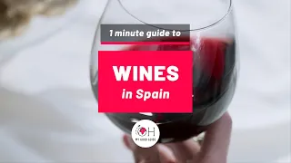 🔝 TOP 5 SPANISH WINES 🔝 1-minute guide to the best wines in Spain! 🍷