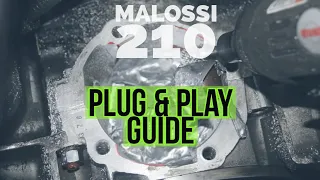 THE ultimate VESPA MALOSSI sport 210 pnp TUNING GUIDE | FMP-Solid PASSion |