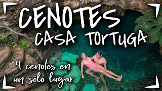 4 CENOTES TULUM $400 MXN 🔴 CENOTES CASA TORTUGA ► CENOTES baratos en Riviera Maya, Playa del Carmen