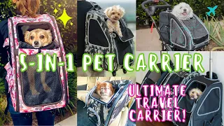 TOP RATED 5-in-1 Pet Carrier for Traveling with Dogs, Cats, and MORE! | Petique's 5-in-1 Pet Carrier