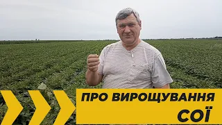 Вирощування сої: переваги та особливості