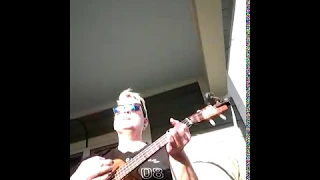 Another Round (ukulele cover by leg1g) the Foo Fighters