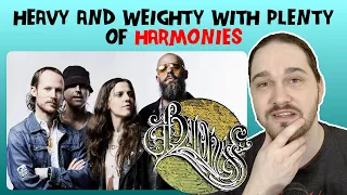 Composer Reacts to BARONESS – If I Have To Wake Up (Would You Stop The Rain?) (REACTION & ANALYSIS)