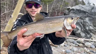 Successful SEA RUN BROOK TROUT fishing trip in Newfoundland! (My first sponsor) ￼