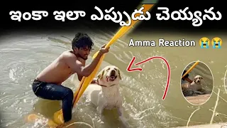 Sandy పోయిందని అమ్మ ఏడుస్తుంది...😭 | Sandy Swimming Video | @upendragani