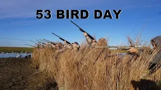 Big Limit of Pintails!! Best Duck Hunt So Far of 2018