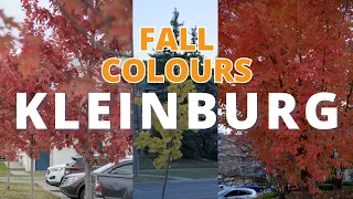 Mesmerizing Fall Colors Drive | Kleinburg, Ontario | Dashcam Adventure 🍁