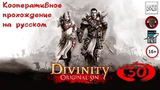 Divinity: Original Sin [кооператив] #30