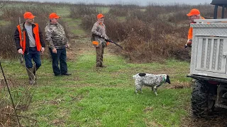 Pheasant Quail and Chukar hunt on a game farm