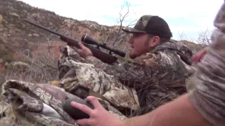 Caprock Aoudad Hunt