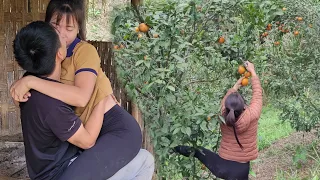 Linh picks oranges to sell. Dần at home, feed the chickens and ducks - Cook pig bran | Linh's Life