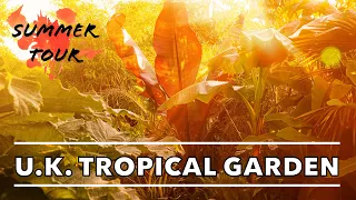 UK Tropical Jungle Garden Summer Tour 2022 - Drought, Filler Plants & Design Ideas