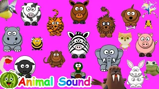 Animal Sound Song + Kids Songs and Nursery Rhymes || EduFam ~
