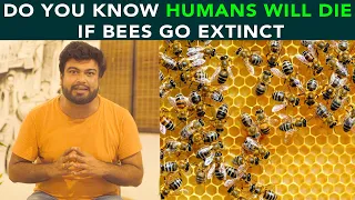Do You Know Humans Will Die If Bees Go Extinct | Anuj Ramatri - An EcoFreak