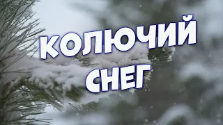 Новинка 2022 Колючий снег Сергей Одинцов