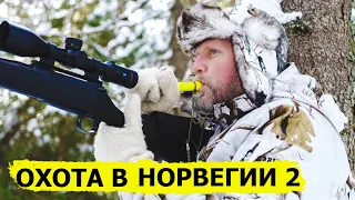 Охота в Норвегии (без цензуры) 2/ NORDIC WILD HUNTER (Охотник и рыболов)