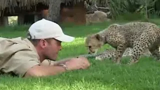 Teaching Cheetah Cubs to Play & Hunt | Cheetahs | BBC Earth