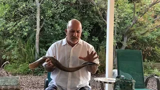 Meaning of the Shofar Sounds - Rabbi Paul Kipnes, September 2 2018