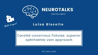 NeuroTalks #5 with Luisa Biscoito