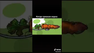 Грязная норка