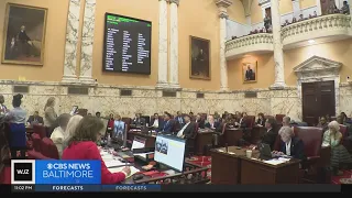 Maryland Senate passes bill aimed at reforming state's Juvenile Justice System