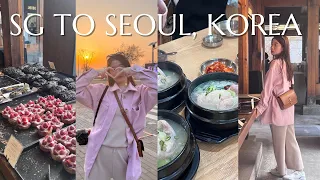 SG TO SEOUL KOREA vlog: cafe hopping in seoul, BEST ginseng chicken, shopping at anguk/seongsu area