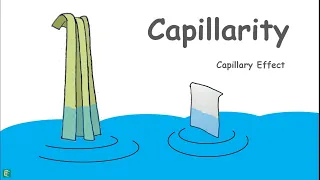 Capillary Rise in Soils