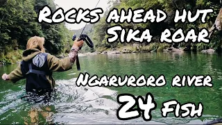 BACKCOUNTRY TROUT FISHING AND SIKA HUNTING 2022 ROAR - ROCKS AHEAD HUT - NGARURORO RIVER