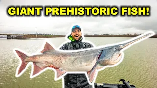 Catching GIANT Prehistoric PADDLEFISH on the RIVER!!! (New PB)